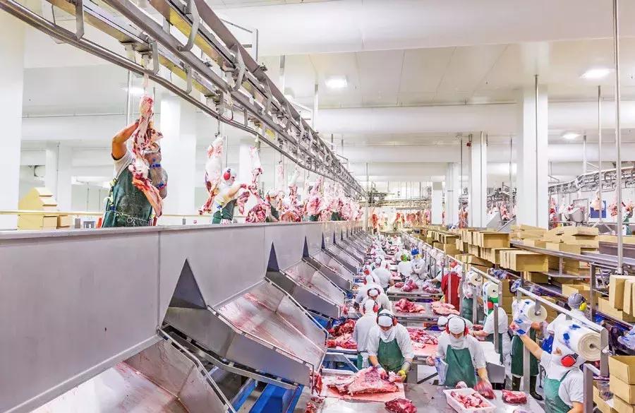 丝路先锋⑤新希望集团:“一带一路”上的跨界转型,刘永好在下一盘大棋