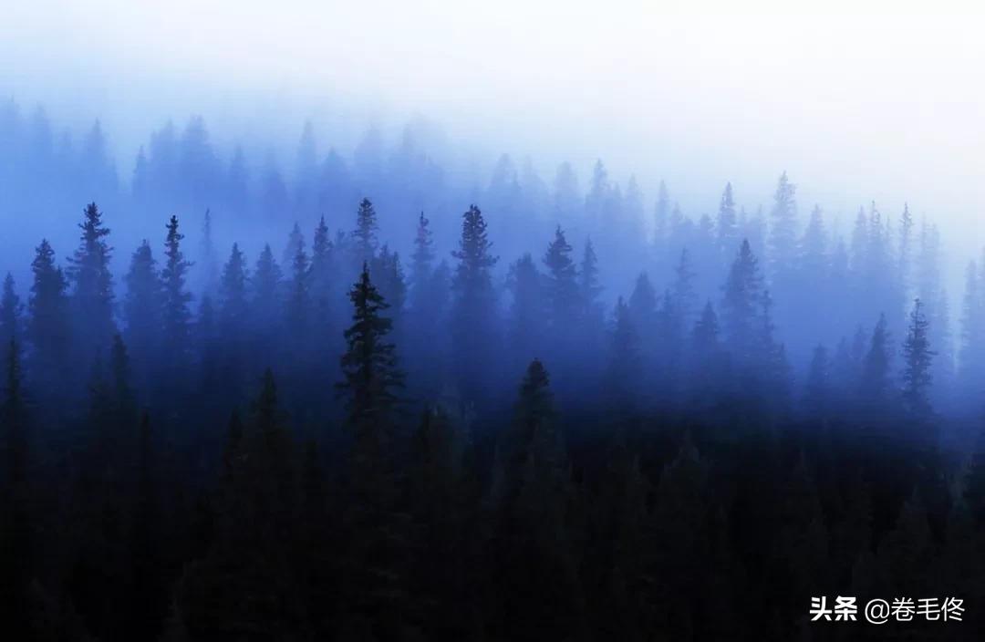 拍立得拍不出照片怎么回事,相机为什么黑屏拍不出照片