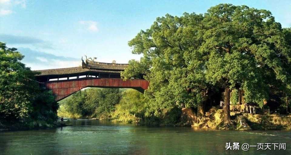 世界那么大，我们一起飞！浙南运动飞行营地开始招生啦！