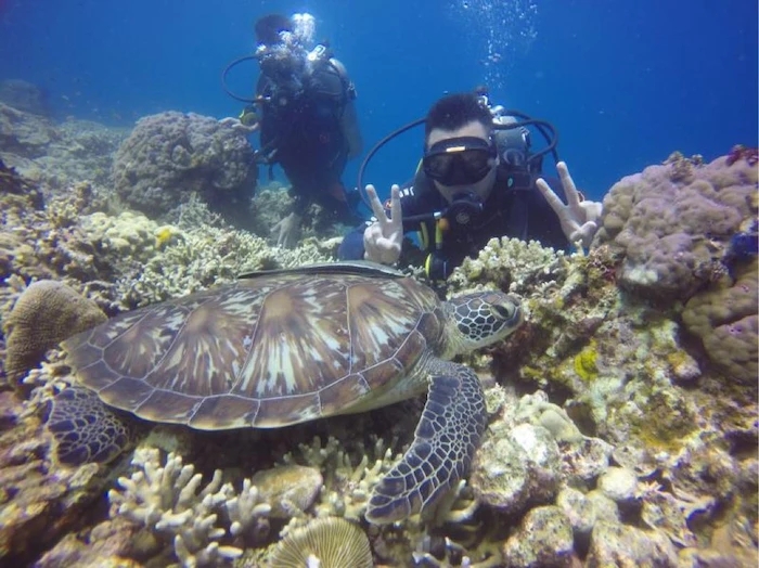 菲律宾自由行旅游攻略地图,菲律宾10天深度游