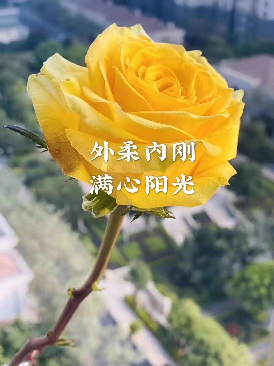 健康扶贫，一路故事一路歌