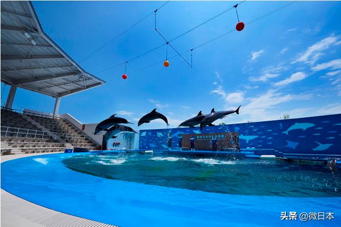 日本关东地区攻略,日本东北要塞游玩