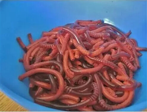 告诉你一个愚人节整人套路,愚人节整人全过程