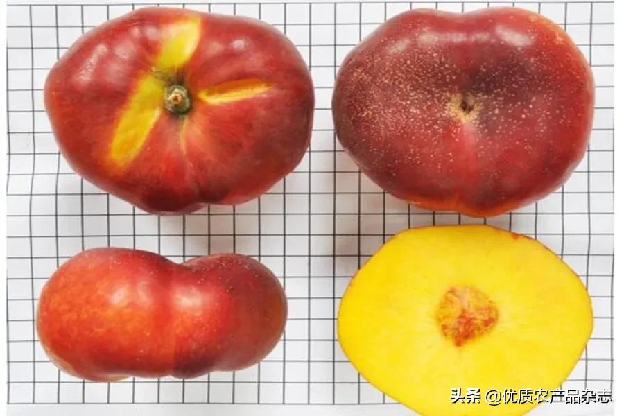 鲜食黄桃产地哪里的最好,什么种类的黄桃最好吃又甜
