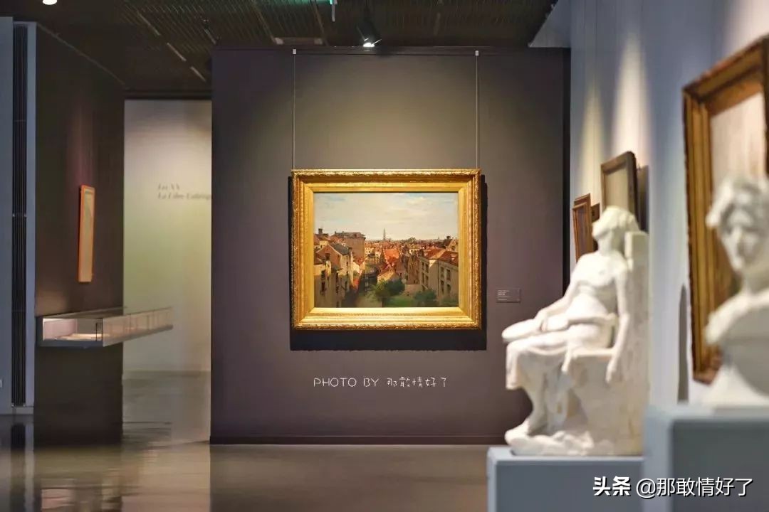 在蓝精灵的故乡邂逅天价纹身*国猪中**，只因我国没有动物保护约束