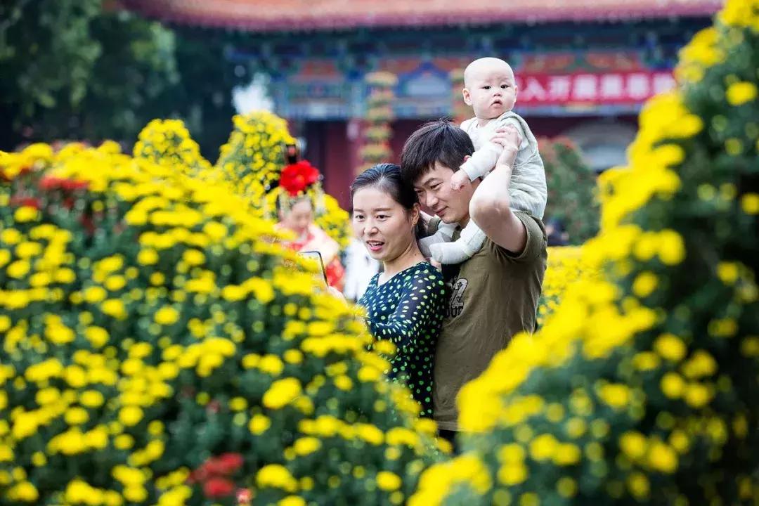 洛阳国庆两日游,国庆畅玩攻略