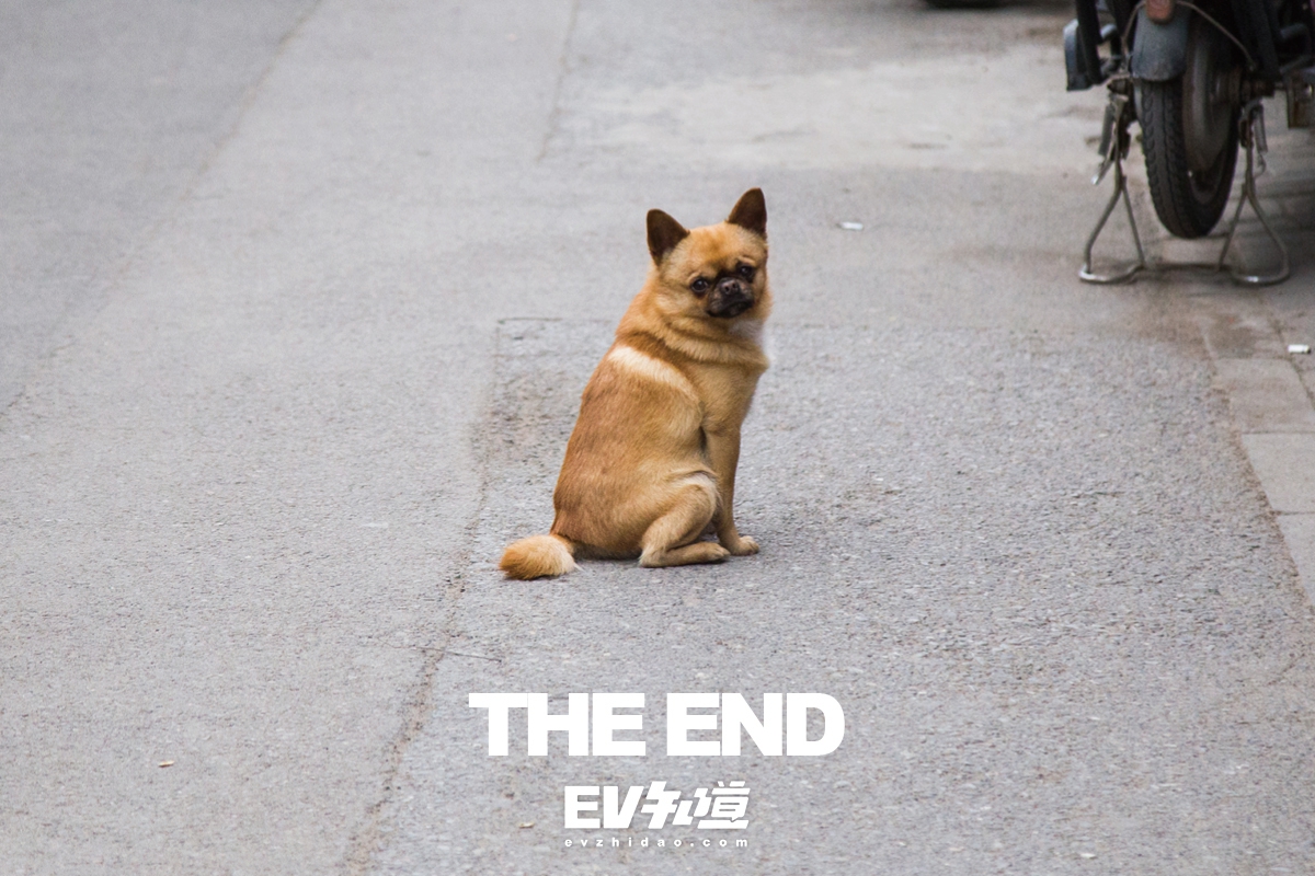 520特别企划|小两口带你探老北京卤煮TOP5