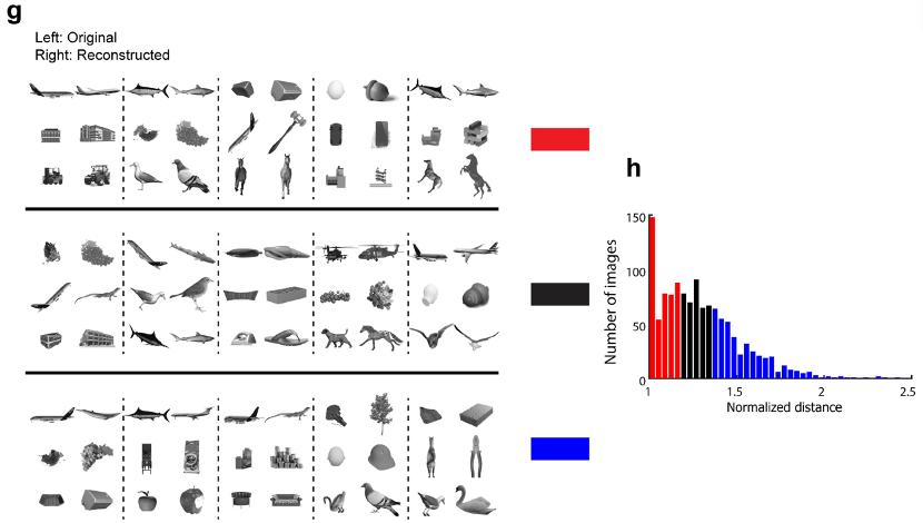 nature发现背后的机制,nature详细解析