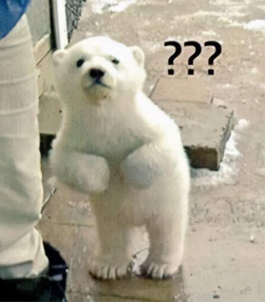 儿童蛀牙牙痛补牙还是根管治疗好,牙痛蛀牙要补牙还是根管治疗