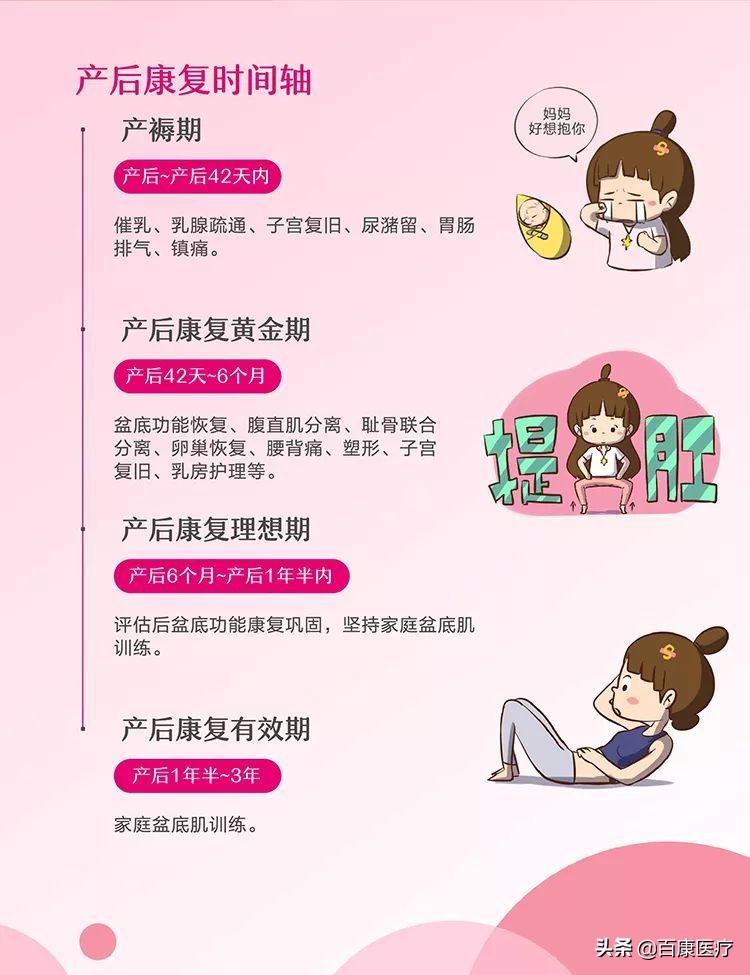 科普视频盆底肌康复训练,盆底肌医学讲解