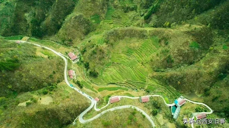 无拙庄主简介,无拙