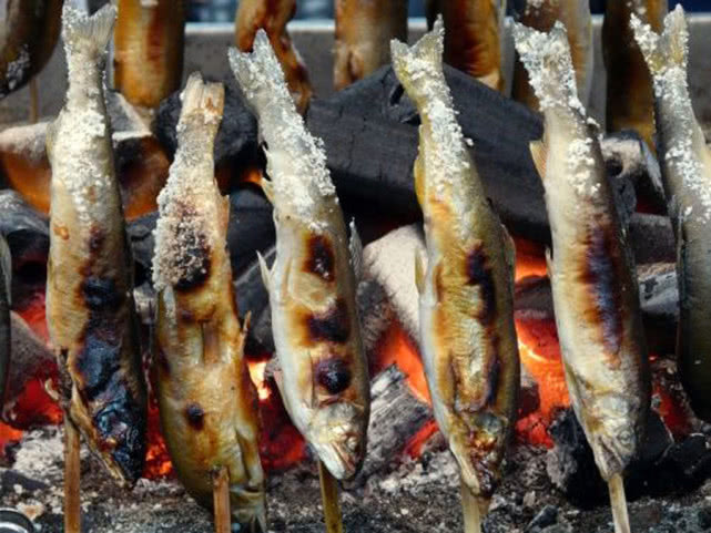 日本人认为最好吃的鱼,日本最好吃的几种鱼