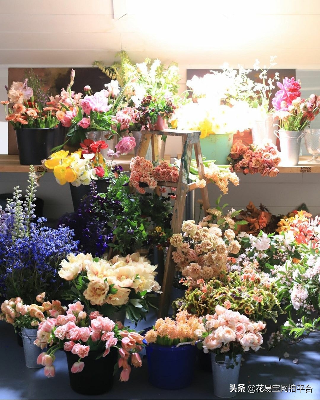 开花店需要的鲜花有哪些,开家鲜花店需要认识哪些花