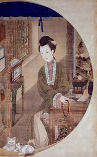 中华田园狮子猫多少钱一只,中华田园猫狮子猫蓝色眼睛