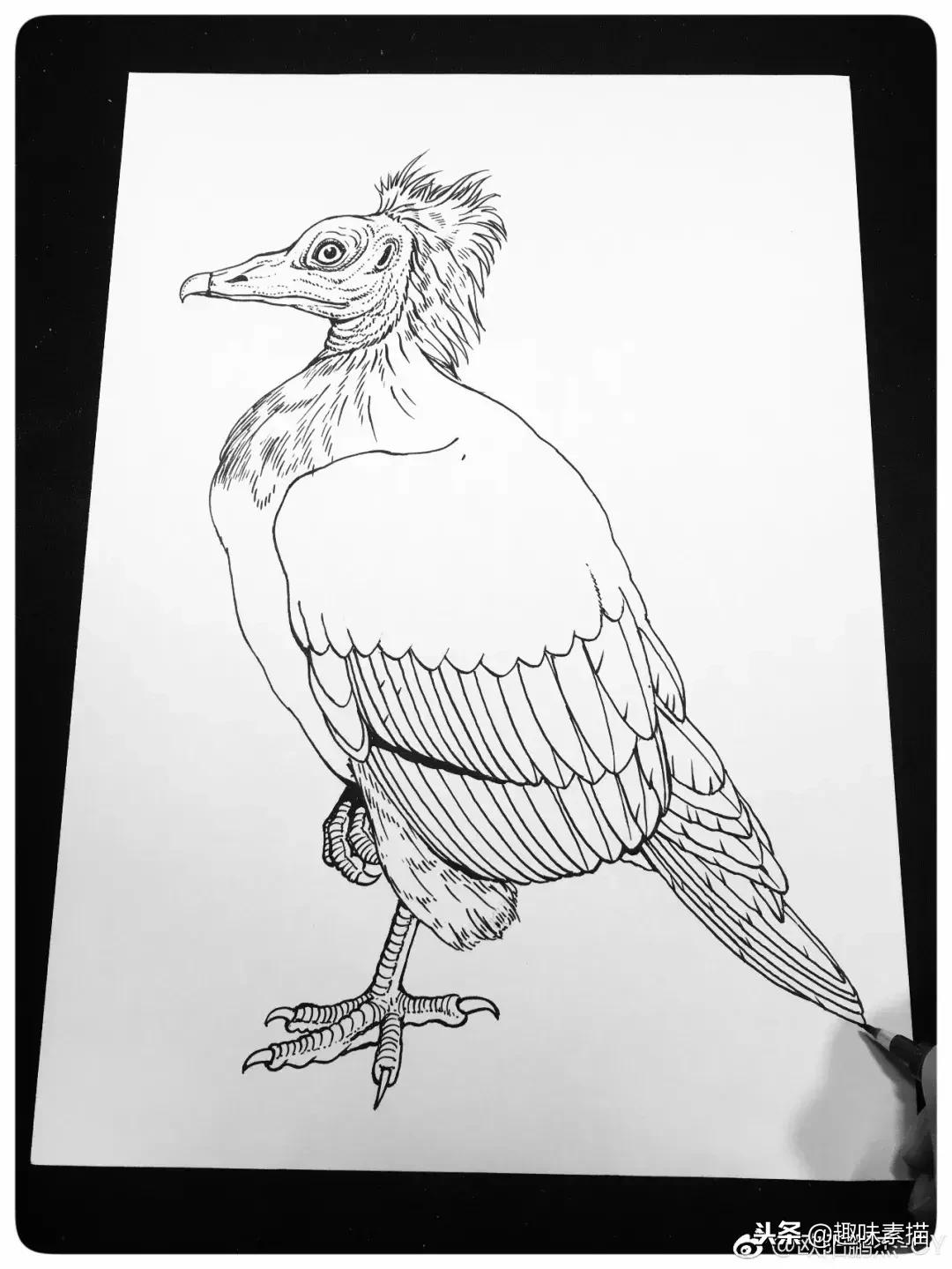 针管笔教程超适合初学者的笔,零基础针管笔教学