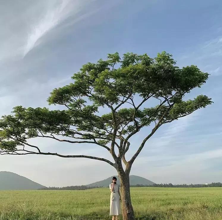 29岁女孩独居图片,29岁独居女孩的视频