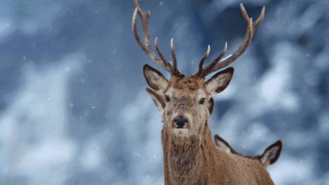 农夫山泉广告我们不生产水,农夫山泉我们不生产水广告原版