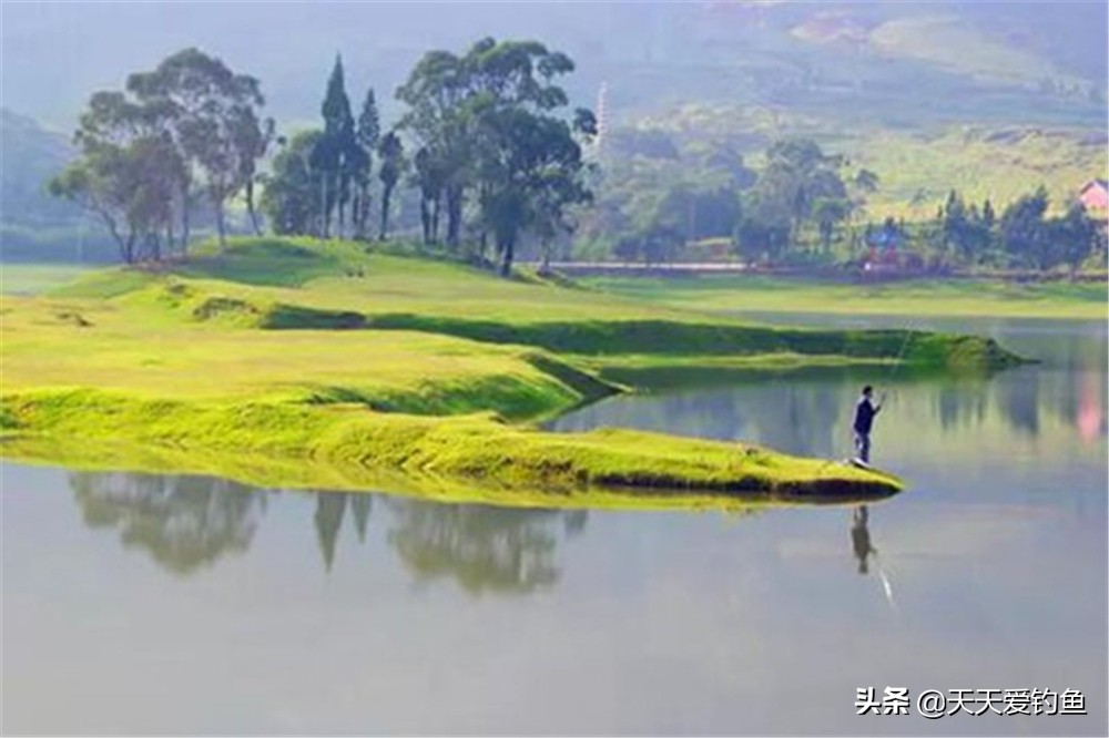 一看就是钓鱼人的网名,不提钓鱼一看就知道钓鱼的网名