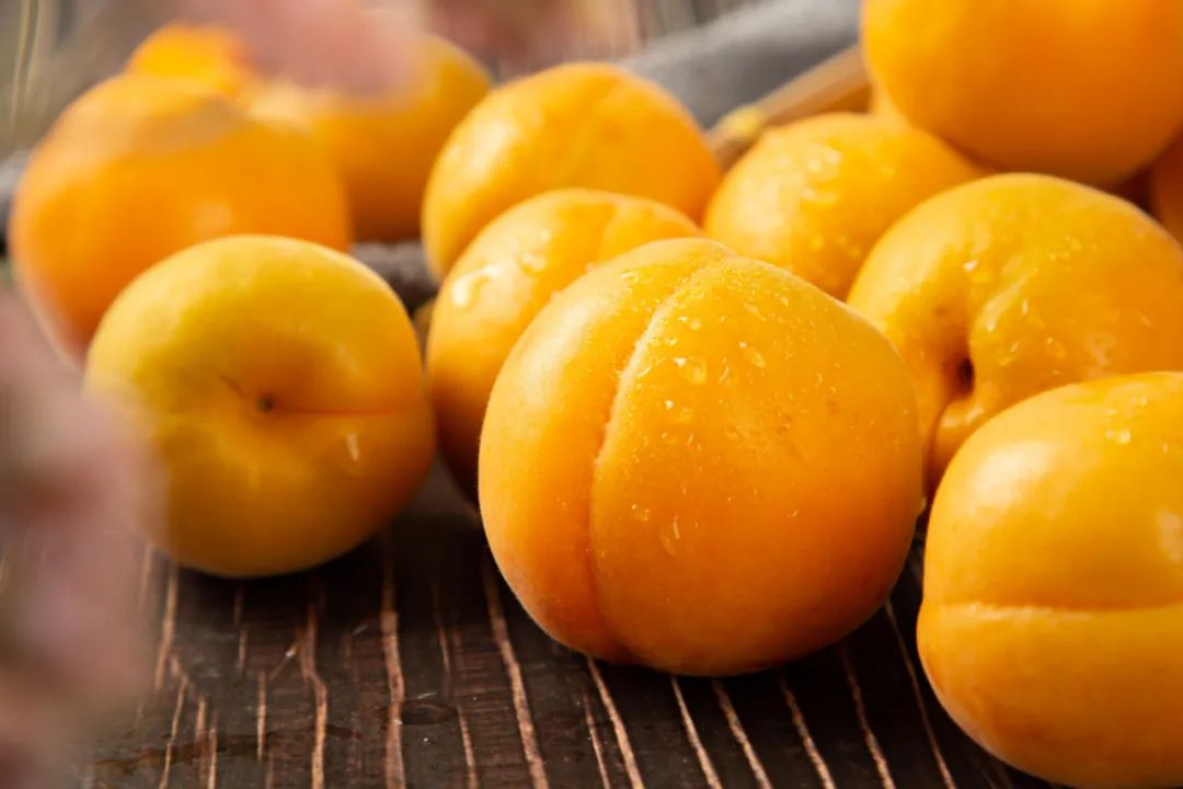 陕西金太阳新鲜杏子,陕西金太阳酸杏子