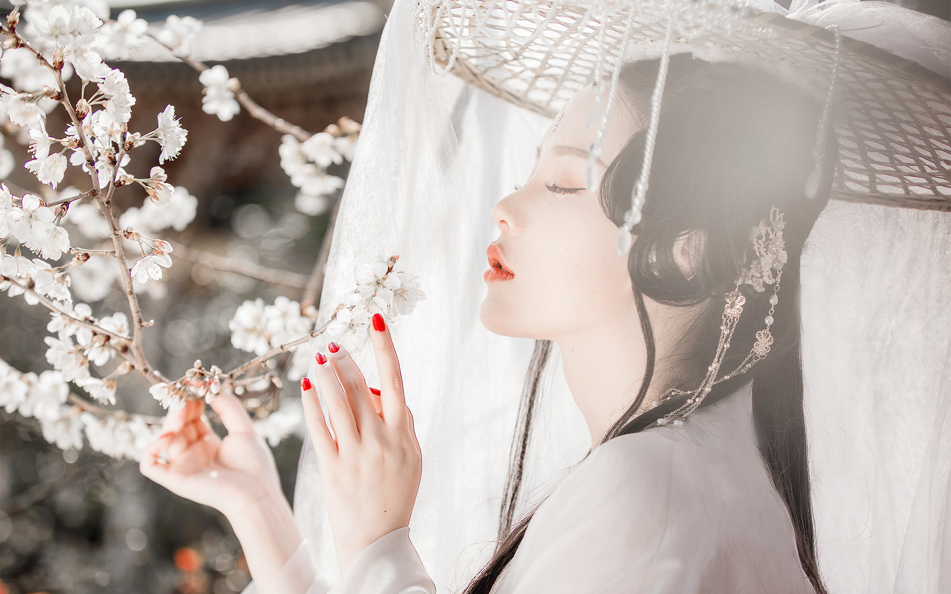 美人泪相思劫,美人画卷