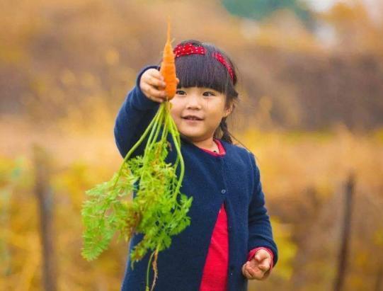 孩子不长肉补什么,孩子不长肉用什么食补好