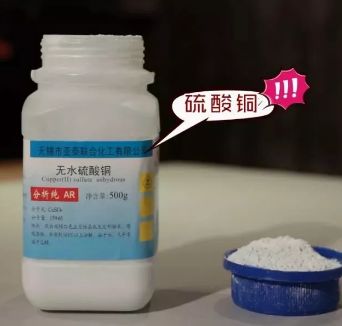 有毒的粽叶,怎么知道粽子的粽叶有毒