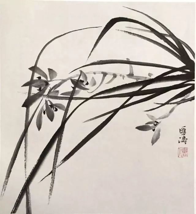 如何画兰花图片大全大图,怎么样画兰花才能好看