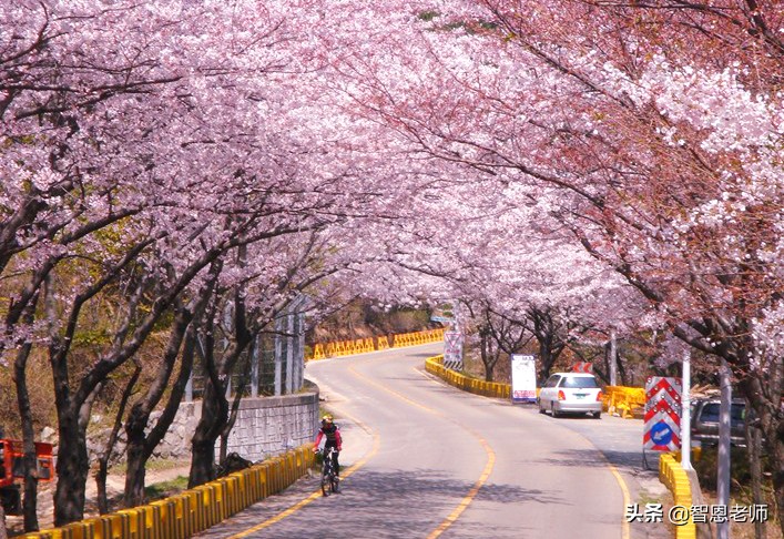 韩国的一些礼仪文化,走进韩国