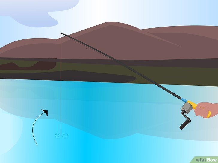 双子线跑铅钓鱼的正确方法,泥鳅钓鱼的正确方法和技巧