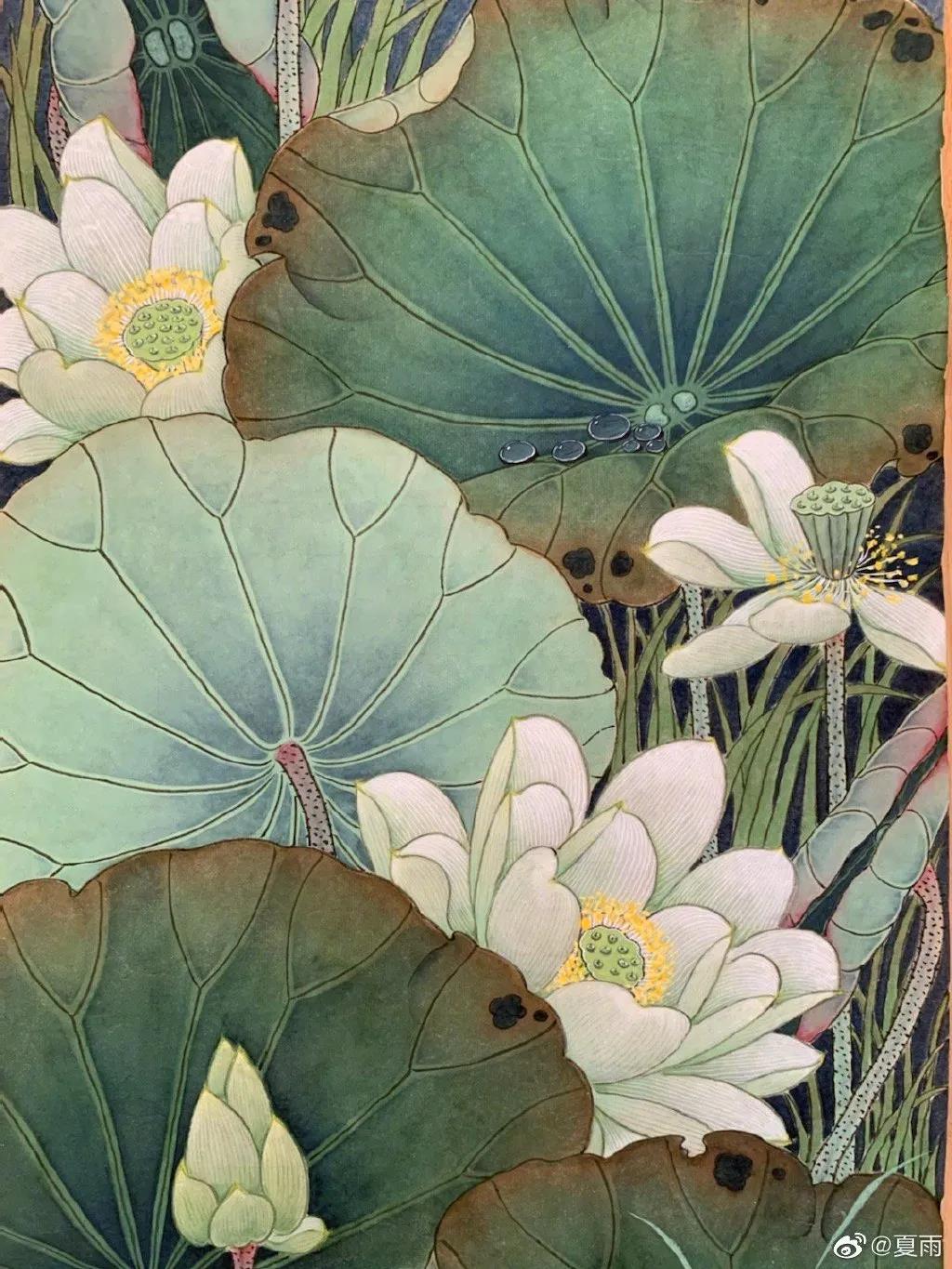 影帝夏雨书法真迹,演员夏雨晒书法作品