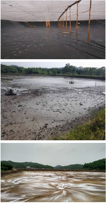 水产室内养殖对虾好养吗,对虾养殖要打什么药