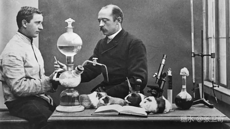 德国和美国发明治新冠肺炎药,德国如何防新冠肺炎