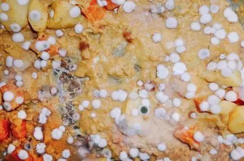 美国公布癌症预防建议,美国十条癌症预防建议