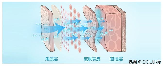 杨幂同款蒸脸器,杨幂代言的蒸脸器是什么牌子