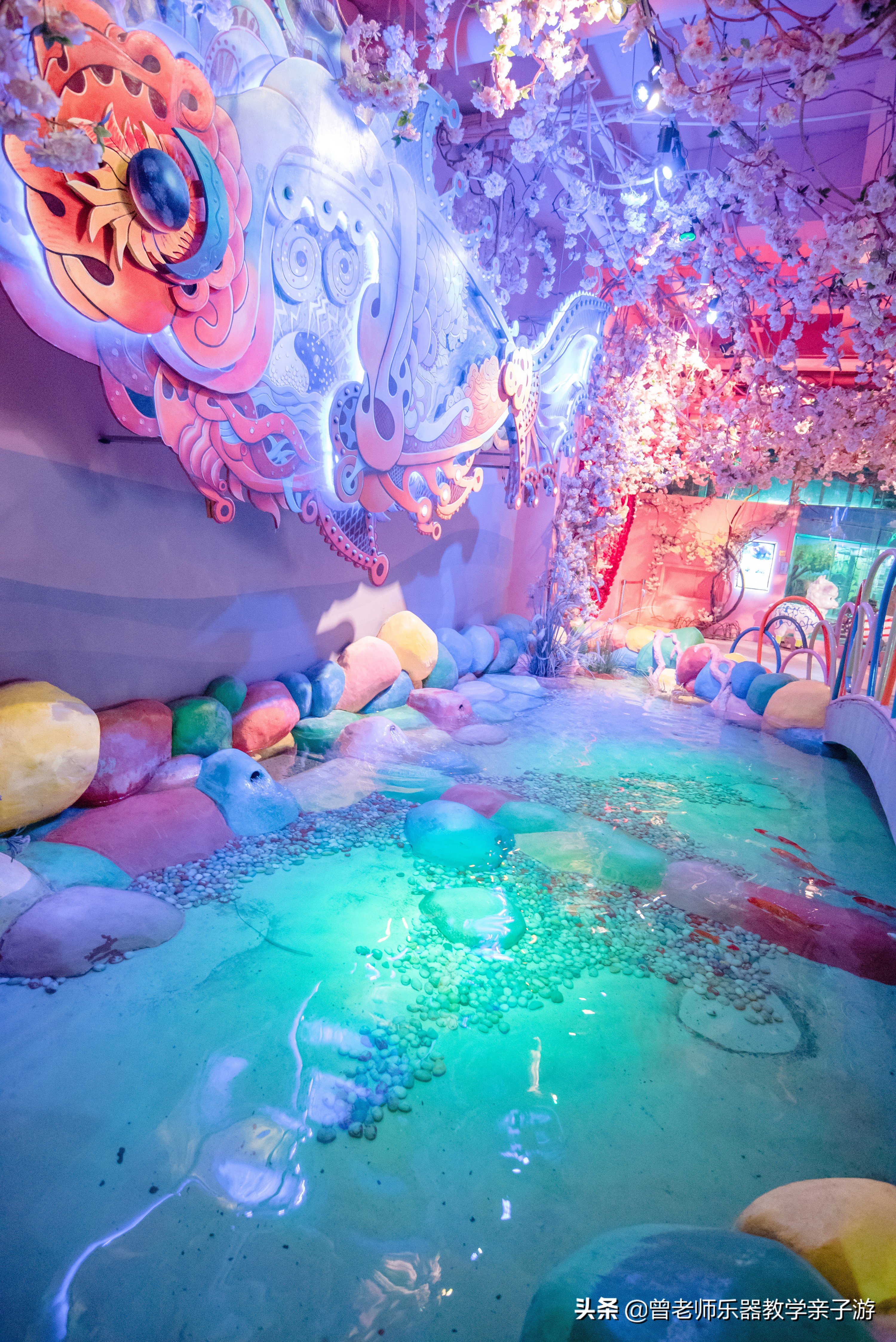 西安海洋公园海豚表演,西安太奥海洋馆