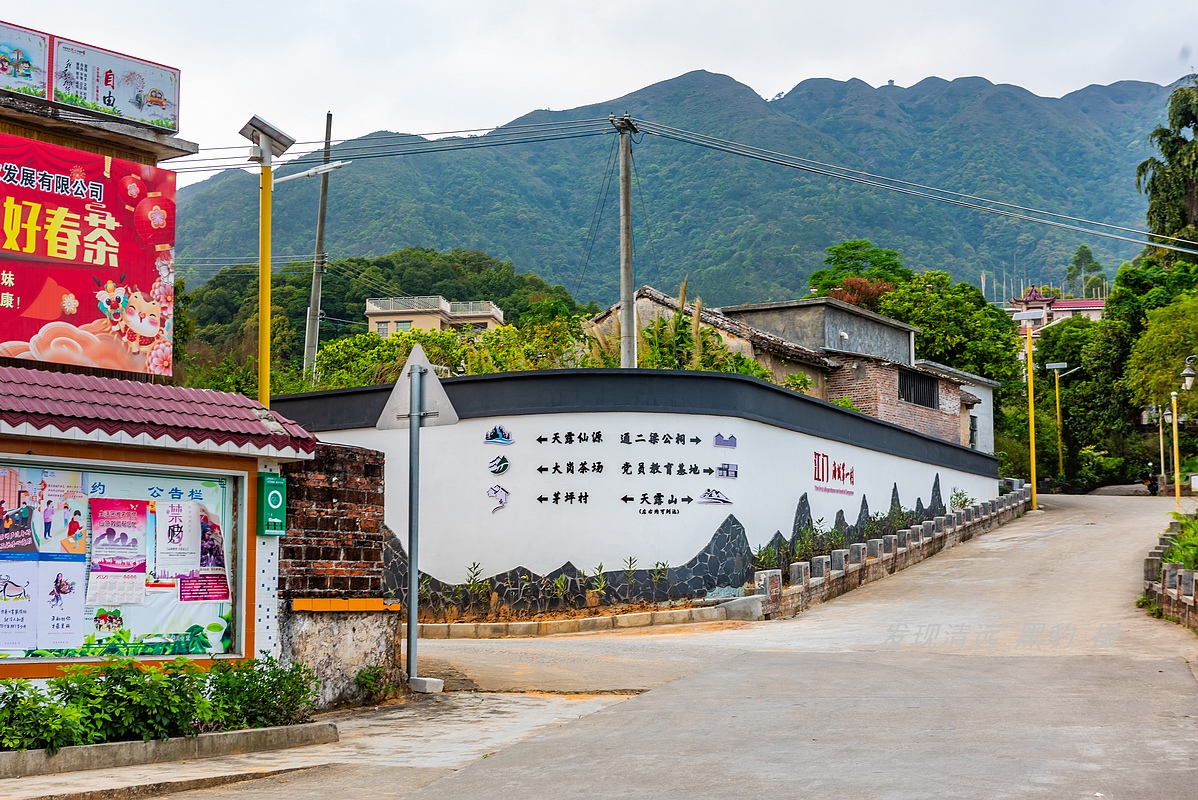 走最远的路,航拍广东最壮美的野生杜鹃花海