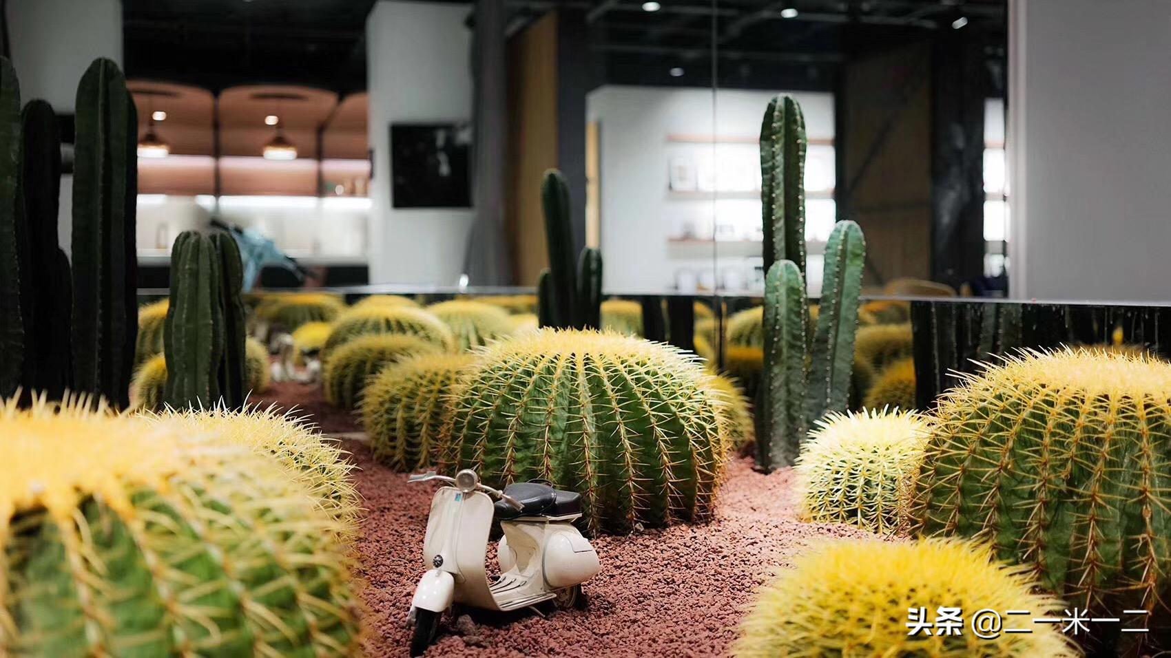 自然元素,空间自然而然