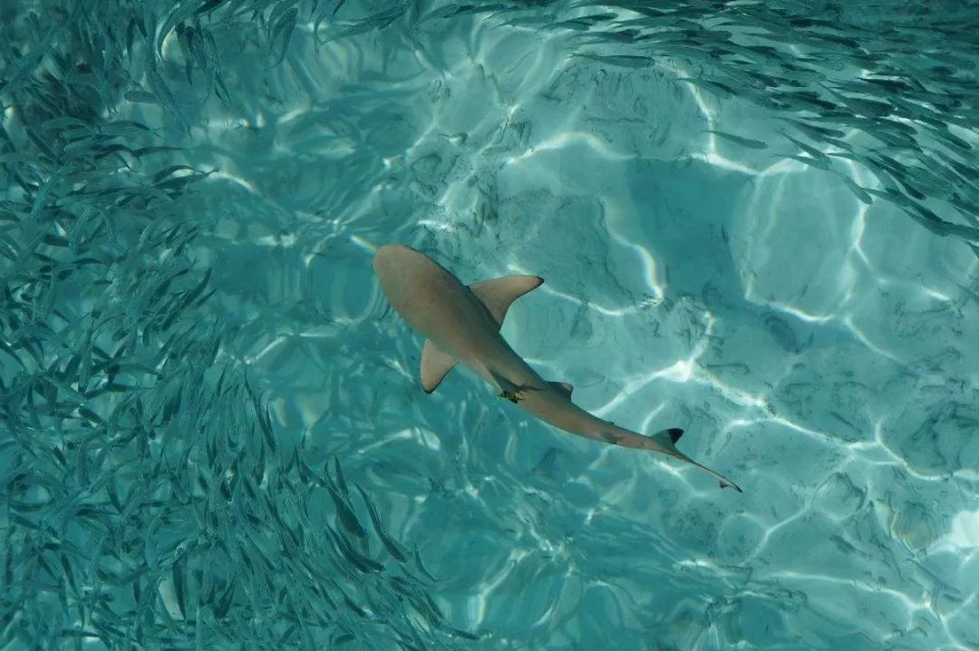 成都宝妈:孩子征服世界的第一站