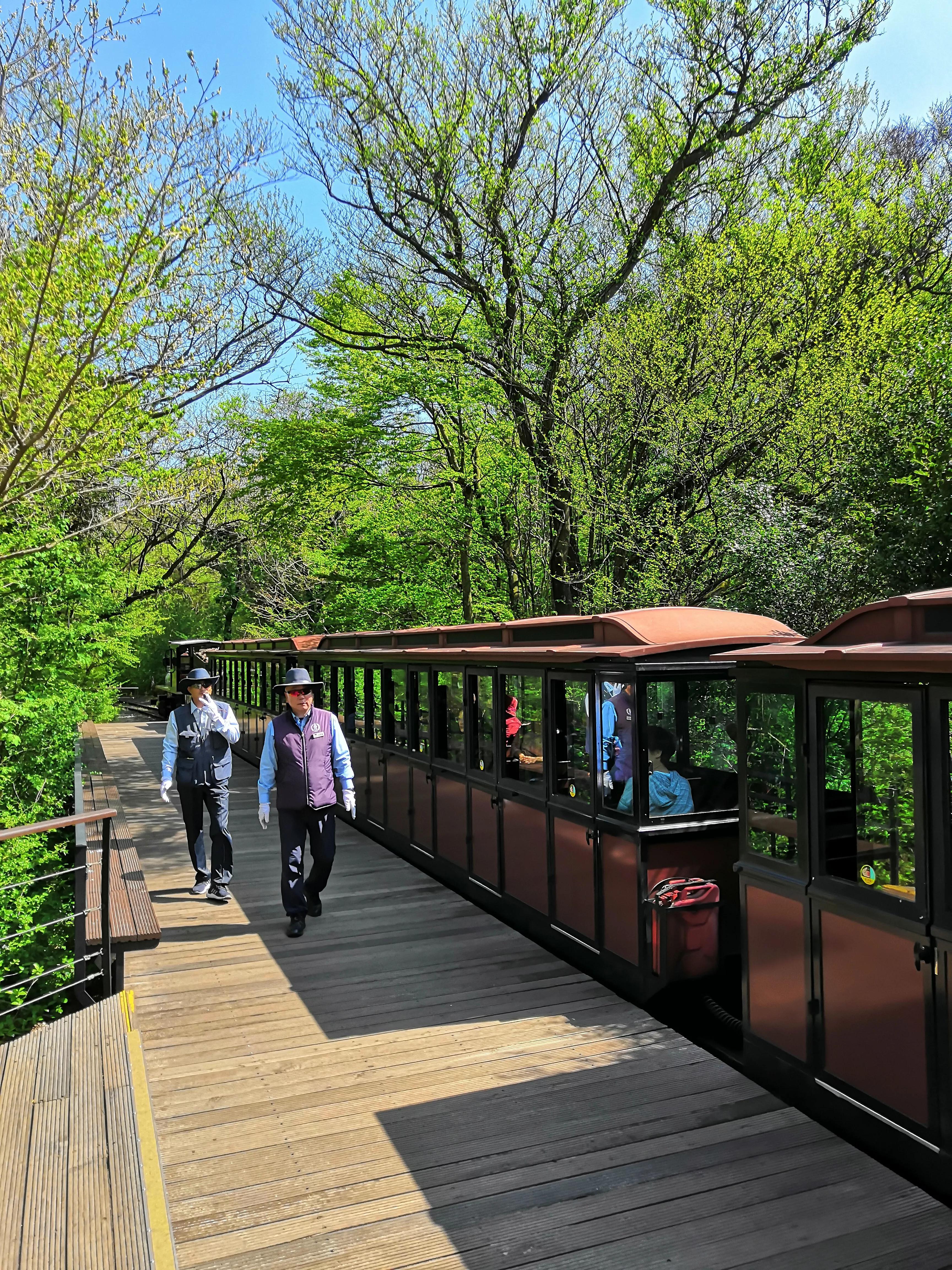 心血来潮去爬山,想去济州岛看海