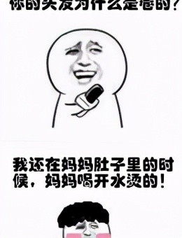 网络关于东北的段子,东北段子话