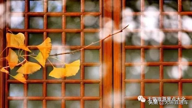 无锡唯有美食与你不可辜负,无锡夏日特色美食有哪些