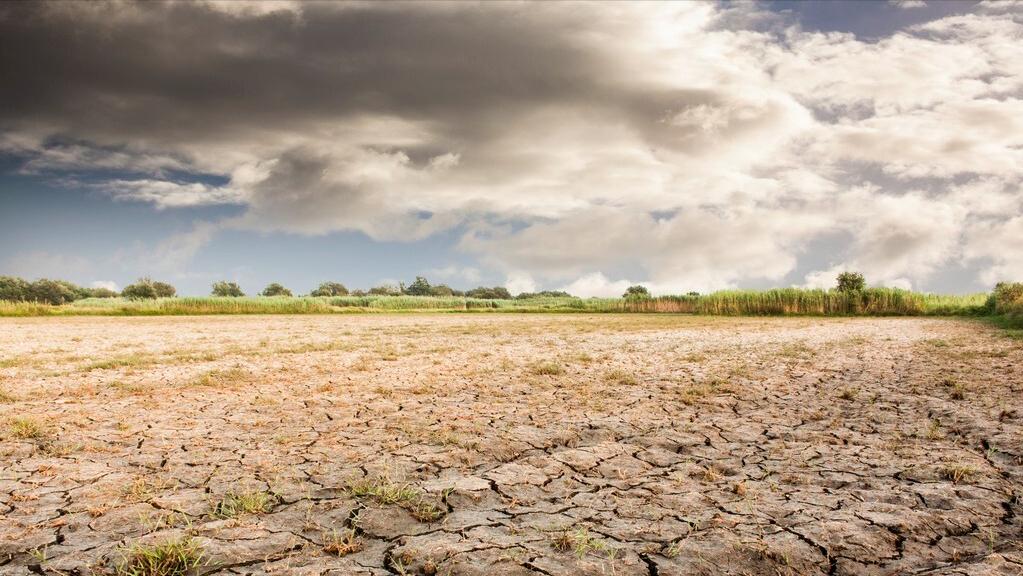 白浅说离镜终其一生都在追寻,白浅骂离镜和玄女天生一对