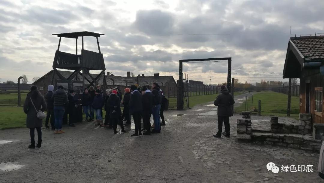 奥斯维辛集中营旅游,奥斯维辛集中营雏菊