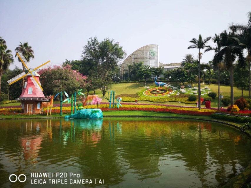 广州云台花园花展,广州云台花园咋样