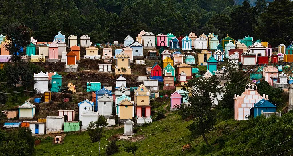 从墓地公园归来,我变罗曼蒂克了