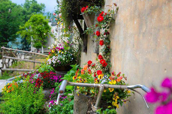 婺源鲜花小镇,绝美鲜花小镇