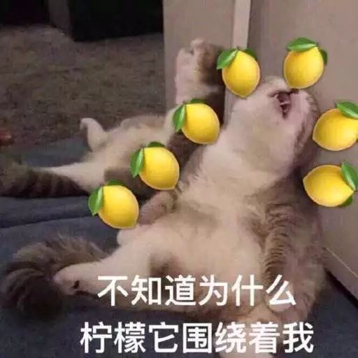 柠檬精是什么意思十大流行语,2022年十大网络流行语官方