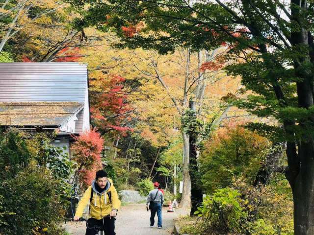 东京到镰仓和箱根攻略,东京箱根富士山镰仓