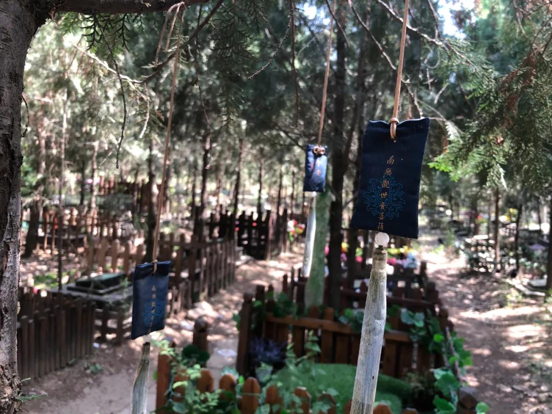 宠物殡葬会上门处理宠物尸体么,殡葬宠物火化