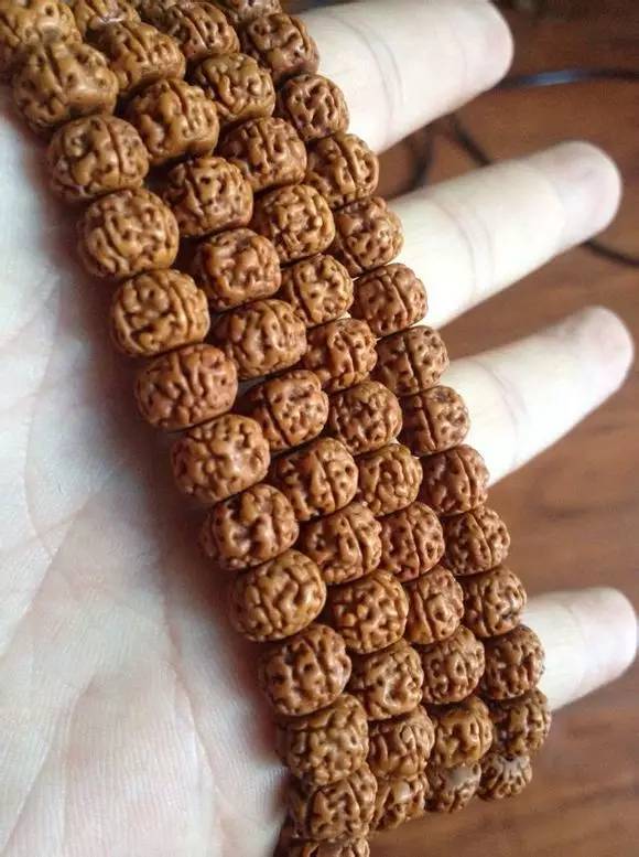 小金刚菩提鉴定视频,小金刚菩提的真假鉴别